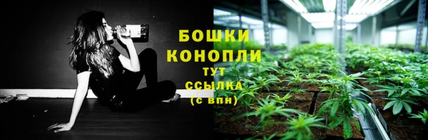 спиды Волосово