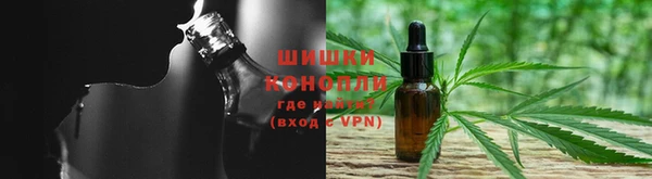 спиды Волосово