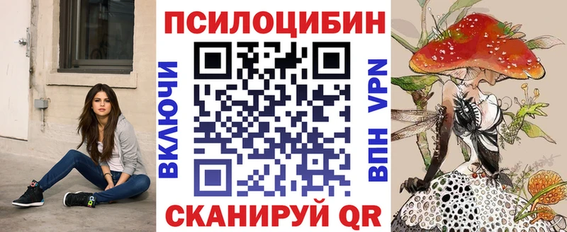 Псилоцибиновые грибы Psilocybine cubensis  Грязовец 