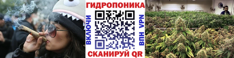 МАРИХУАНА гибрид  Грязовец 